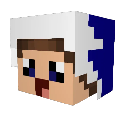 Mr_Lukas Minecraft avatar head, 3D render
