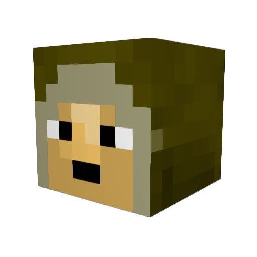Mr_Lumpkins Minecraft avatar head, 3D render