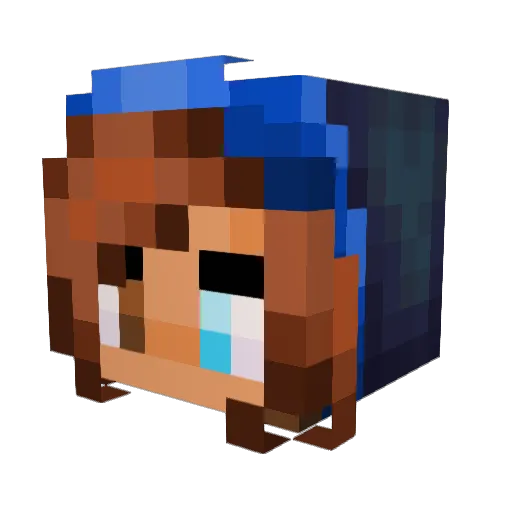 Mr_MagicMan_95 Minecraft avatar head, 3D render