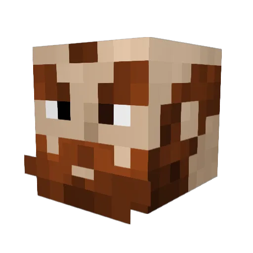 Mr_Maximilian Minecraft avatar head, 3D render