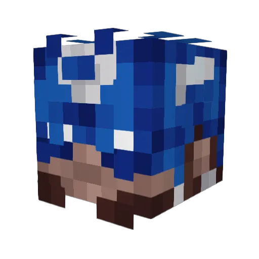 Mr_MeatSlapp Minecraft avatar head, 3D render