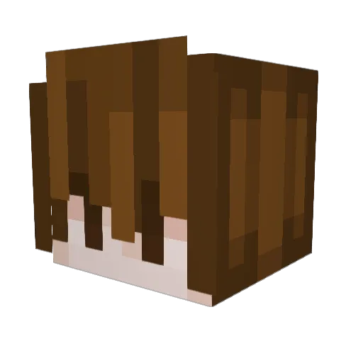 Mr_Mess00 Minecraft avatar head, 3D render