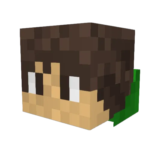 Mr_Minecraft100 Minecraft avatar head, 3D render