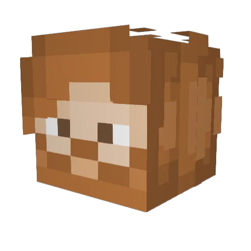 Mr_Mister06 Minecraft avatar head, 3D render