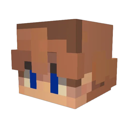 Mr_MoonBear Minecraft avatar head, 3D render