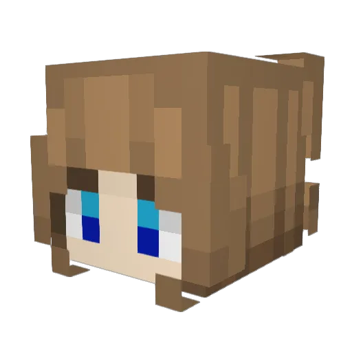 Mr_Moose115 Minecraft avatar head, 3D render