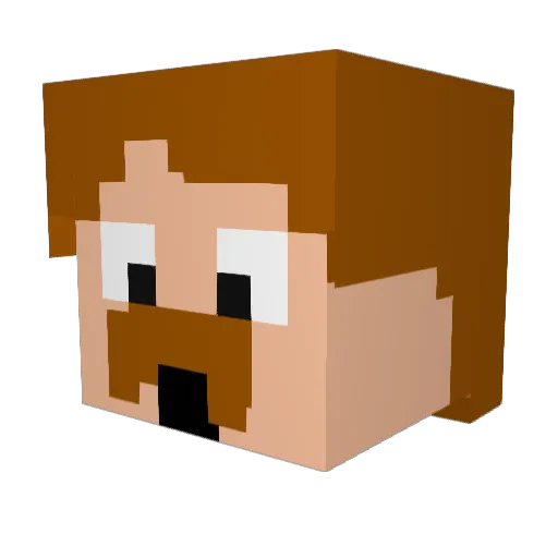 Mr_MotoX2 Minecraft avatar head, 3D render