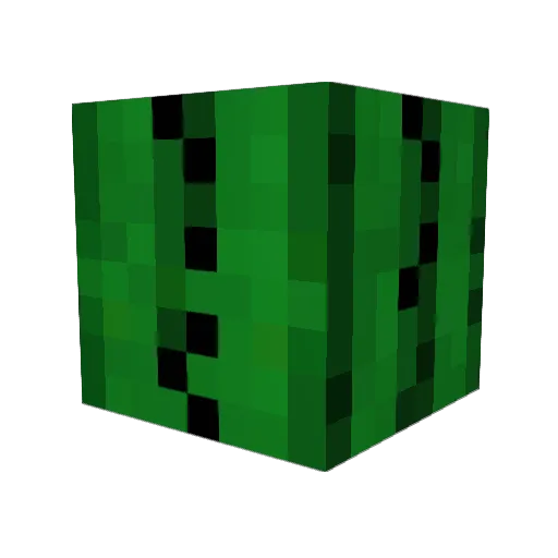Mr_Mr_Cactus Minecraft avatar head, 3D render