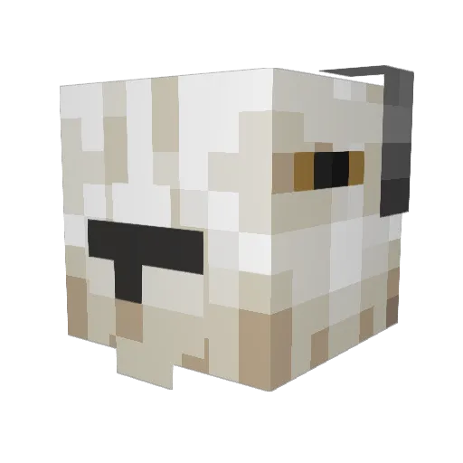 Mr_Mr_Island Minecraft avatar head, 3D render