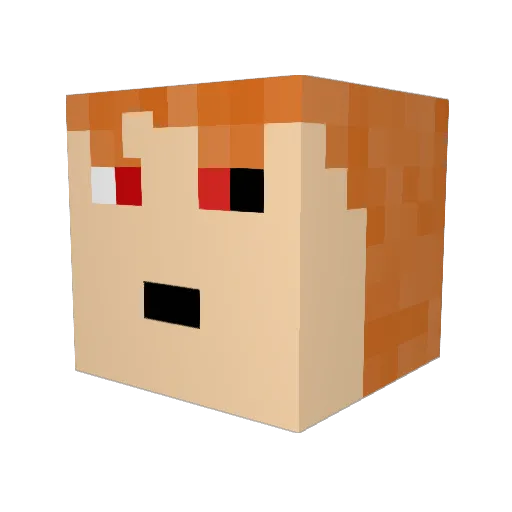 Mr_Muffins1611 Minecraft avatar head, 3D render