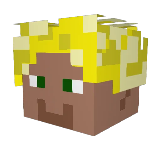 Mr_Multiofficial Minecraft avatar head, 3D render