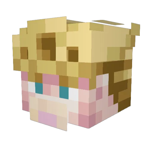 Mr_Mustange Minecraft avatar head, 3D render