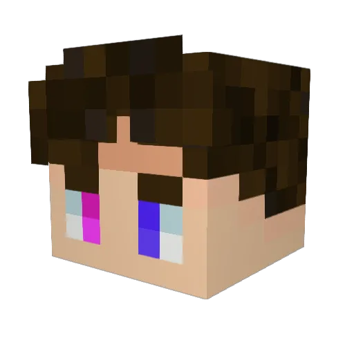 Mr_N180 Minecraft avatar head, 3D render
