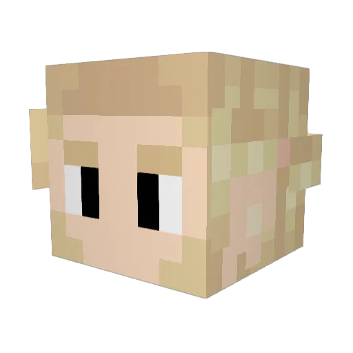 Mr_Naloj Minecraft avatar head, 3D render