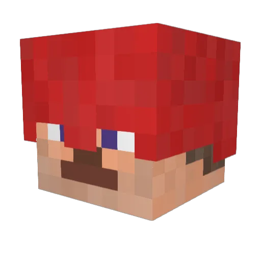 Mr_Namerrrr Minecraft avatar head, 3D render