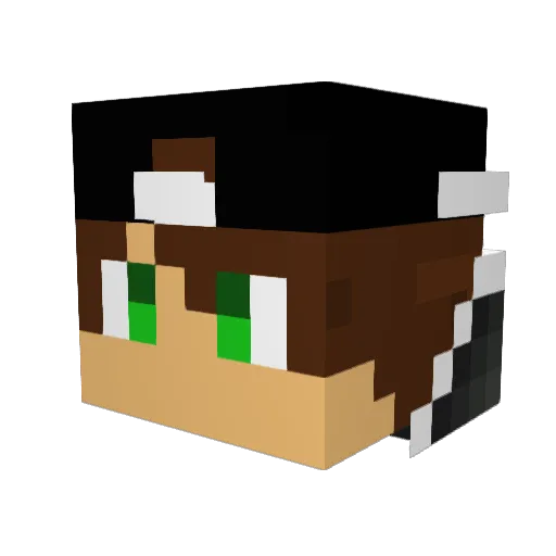 Mr_Nerd70 Minecraft avatar head, 3D render