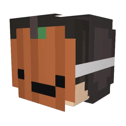 Mr_Nerd8 Minecraft avatar head, 3D render