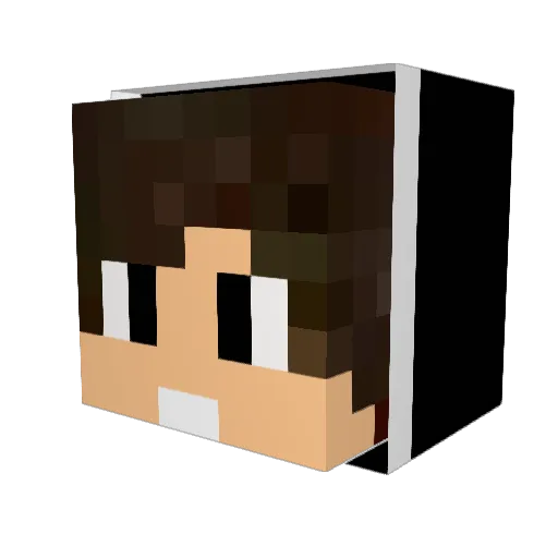 Mr_Nerrvokk Minecraft avatar head, 3D render