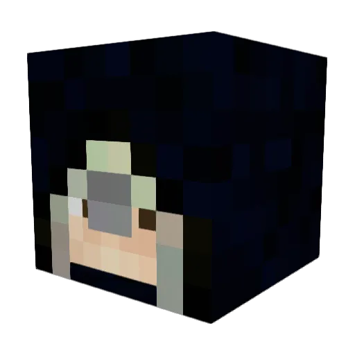 Mr_Nice0 Minecraft avatar head, 3D render
