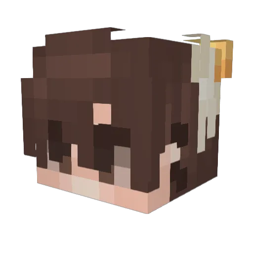 Mr_Nixas Minecraft avatar head, 3D render