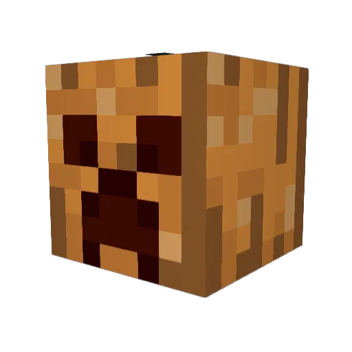 Mr_Noelan Minecraft avatar head, 3D render