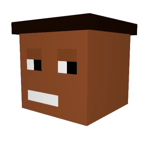 Mr_Noissy Minecraft avatar head, 3D render