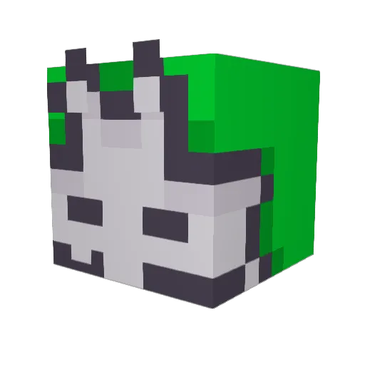 Mr_Nozla Minecraft avatar head, 3D render