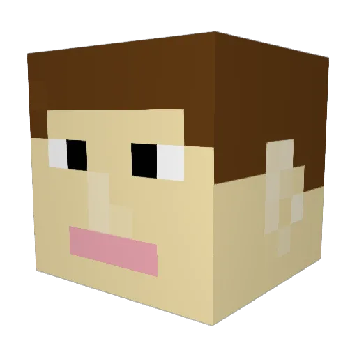 Mr_Nuggelton Minecraft avatar head, 3D render