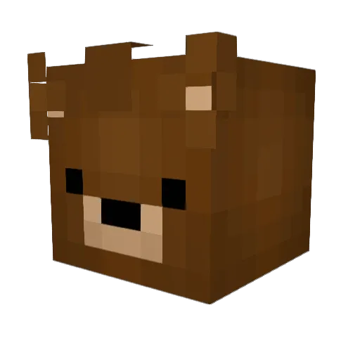 Mr_Optional Minecraft avatar head, 3D render