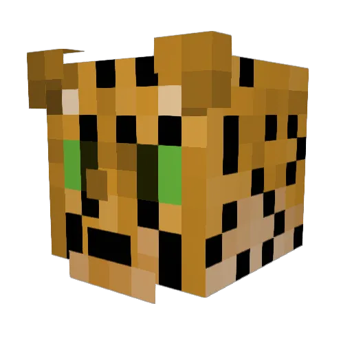 Mr_Otzel Minecraft avatar head, 3D render