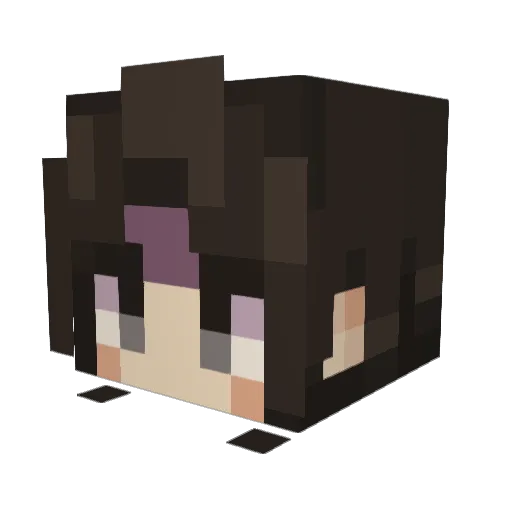 Mr_P4R4G0N Minecraft avatar head, 3D render