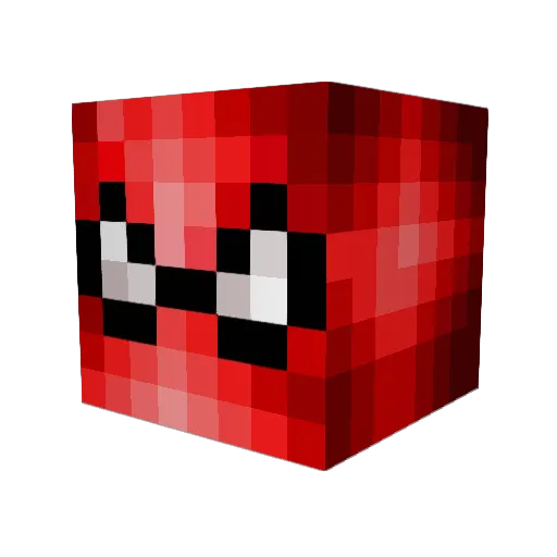 Mr_Pickles27 Minecraft avatar head, 3D render