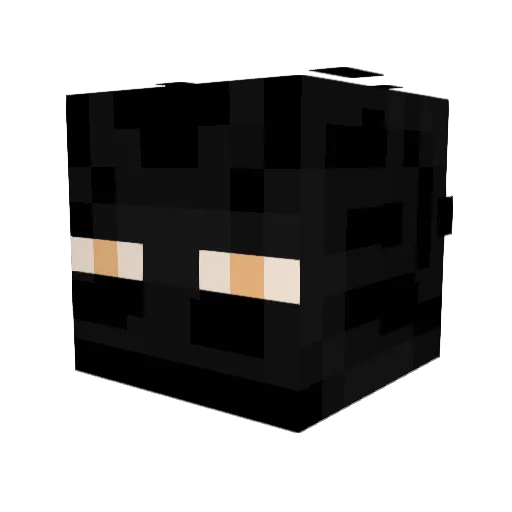 Mr_Plauge Minecraft avatar head, 3D render