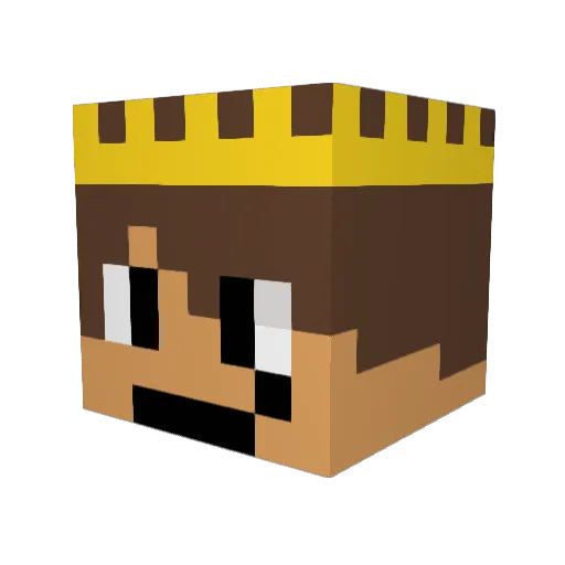 Mr_PoLsKa_ Minecraft avatar head, 3D render
