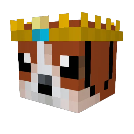 Mr_Potsie Minecraft avatar head, 3D render