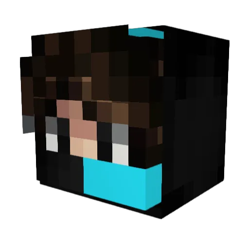 Mr_ProMaster Minecraft avatar head, 3D render