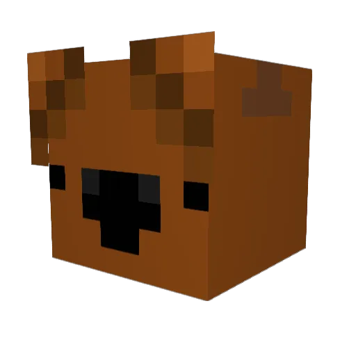 Mr_Quokka Minecraft avatar head, 3D render