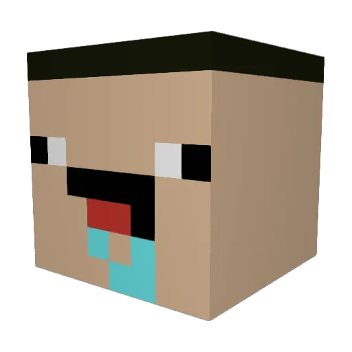 Mr_RandomGuy2011 Minecraft avatar head, 3D render