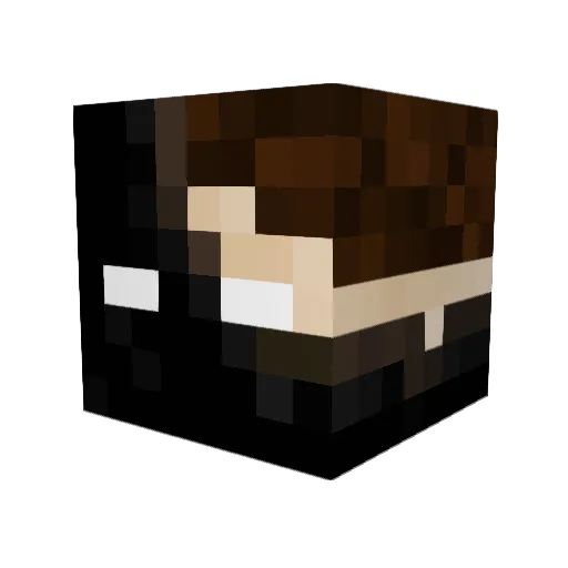 Mr_Rein Minecraft avatar head, 3D render