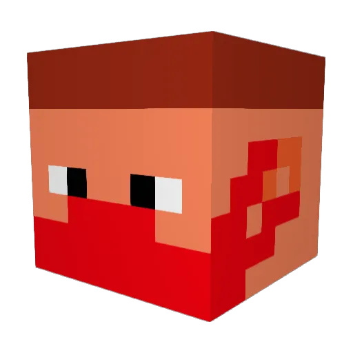 Mr_Ritzenduft Minecraft avatar head, 3D render