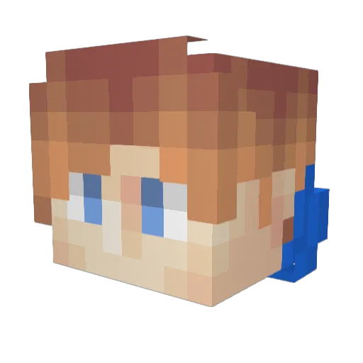 Mr_SaltFish Minecraft avatar head, 3D render