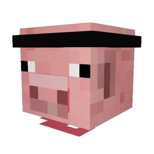 Mr_Sau Minecraft avatar head, 3D render