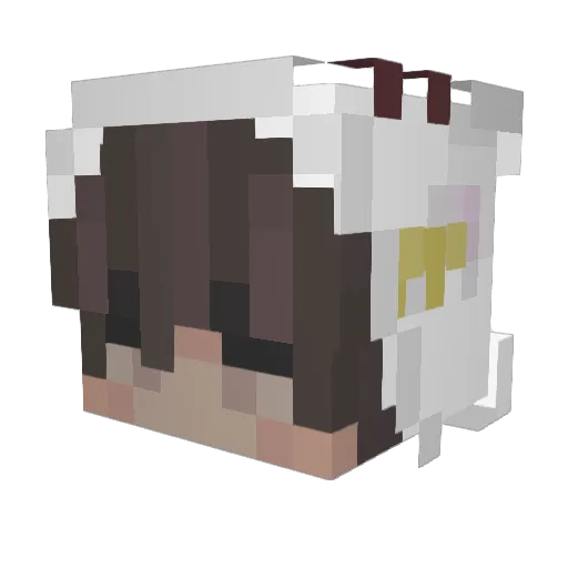 Mr_ShaoYa Minecraft avatar head, 3D render