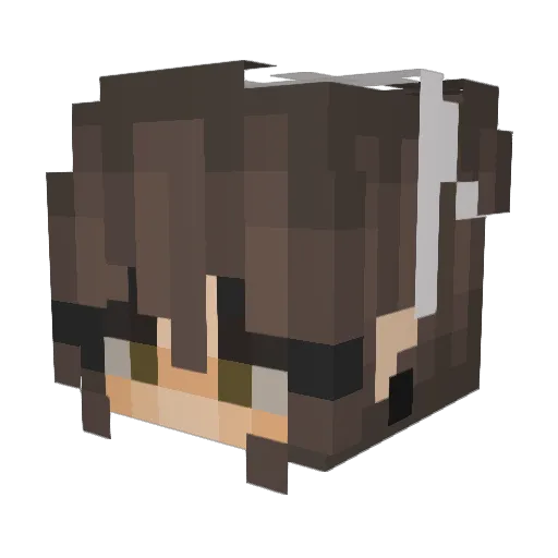 Mr_Sheni Minecraft avatar head, 3D render