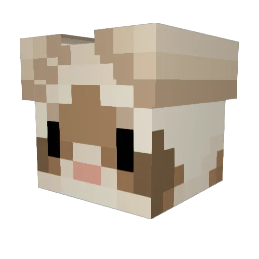 Mr_Shmunguss Minecraft avatar head, 3D render