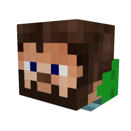 Mr_Singler Minecraft avatar head, 3D render