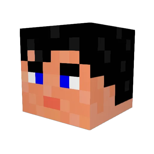 Mr_SkyMan Minecraft avatar head, 3D render
