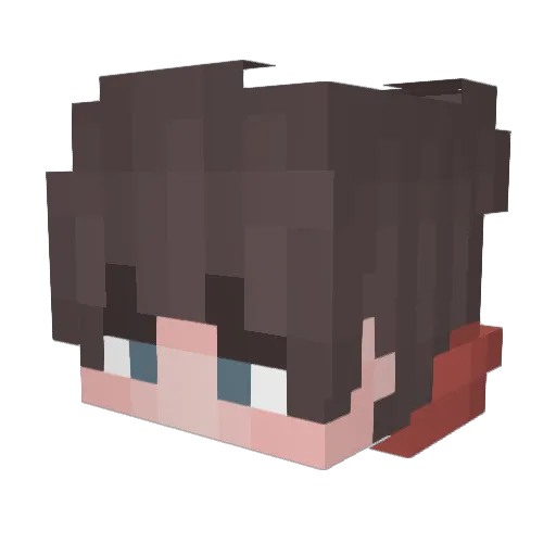 Mr_Skywalker94 Minecraft avatar head, 3D render