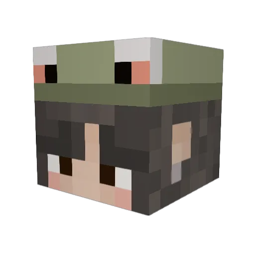 Mr_Snail Minecraft avatar head, 3D render