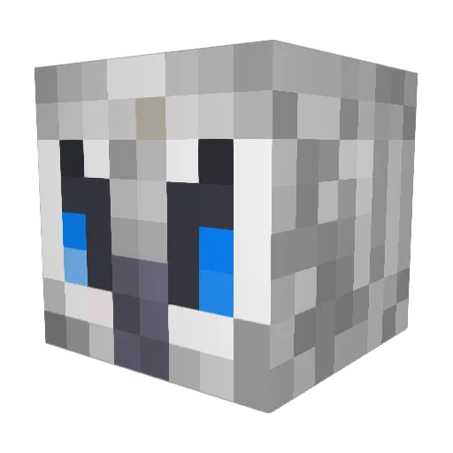 Mr_SnowyOwl Minecraft avatar head, 3D render